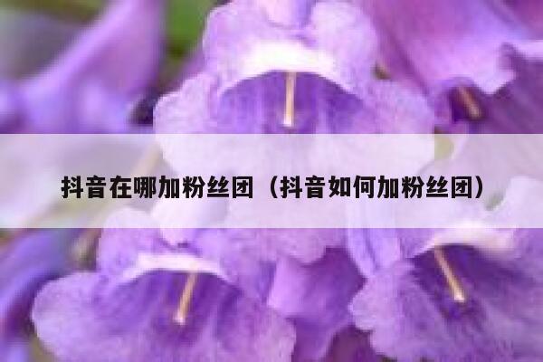 抖音在哪加粉丝团（抖音如何加粉丝团） 第1张