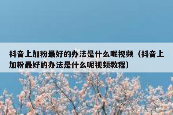 抖音上加粉最好的办法是什么呢视频（抖音上加粉最好的办法是什么呢视频教程） 第1张