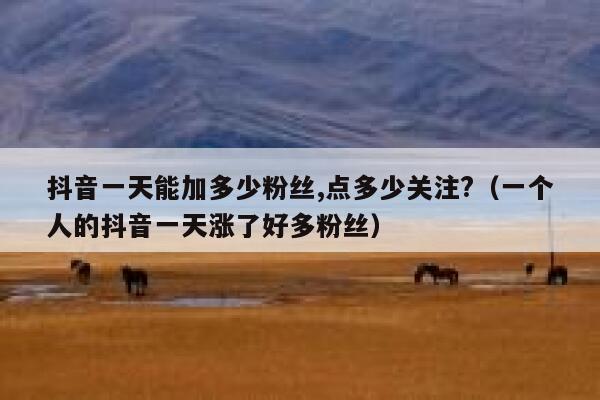抖音一天能加多少粉丝,点多少关注?（一个人的抖音一天涨了好多粉丝） 第1张
