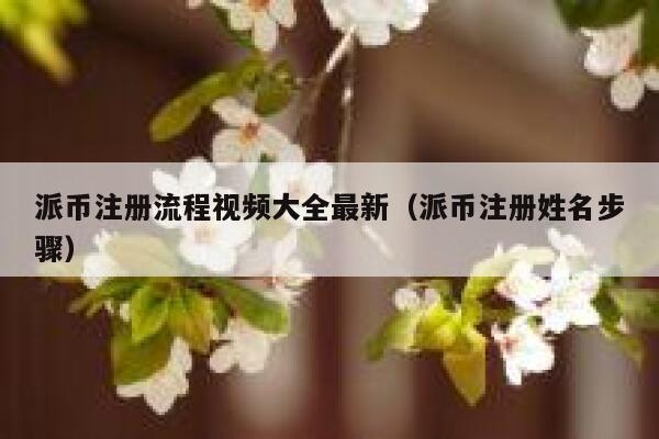 派币注册流程视频大全最新(派币注册姓名步骤) 第1张 派币注册流程视频大全最新(派币注册姓名步骤) 第1张