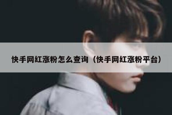 快手网红涨粉怎么查询(快手网红涨粉平台) 第1张 快手网红涨粉怎么查询(快手网红涨粉平台) 第1张