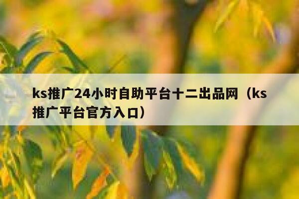 ks推广24小时自助平台十二出品网(ks推广平台官方入口) 第1张 ks推广24小时自助平台十二出品网(ks推广平台官方入口) 第1张