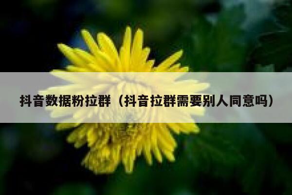 抖音数据粉拉群(抖音拉群需要别人同意吗) 第1张 抖音数据粉拉群(抖音拉群需要别人同意吗) 第1张