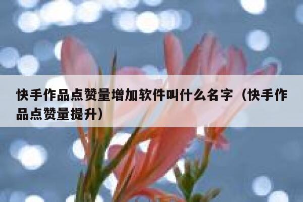 快手作品点赞量增加软件叫什么名字（快手作品点赞量提升） 第1张