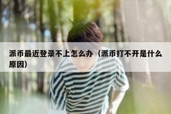 派币最近登录不上怎么办（派币打不开是什么原因） 第1张