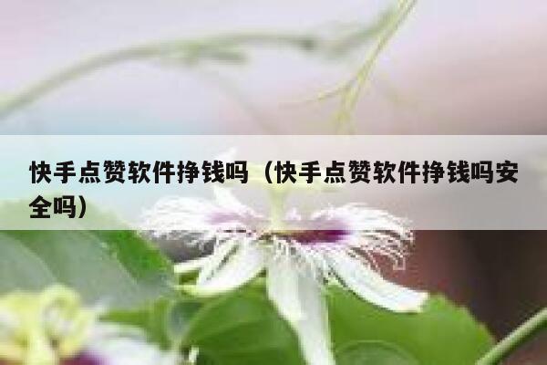 快手点赞软件挣钱吗（快手点赞软件挣钱吗安全吗） 第1张