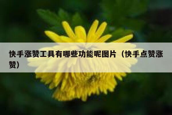 快手涨赞工具有哪些功能呢图片(快手点赞涨赞) 第1张 快手涨赞工具有哪些功能呢图片(快手点赞涨赞) 第1张