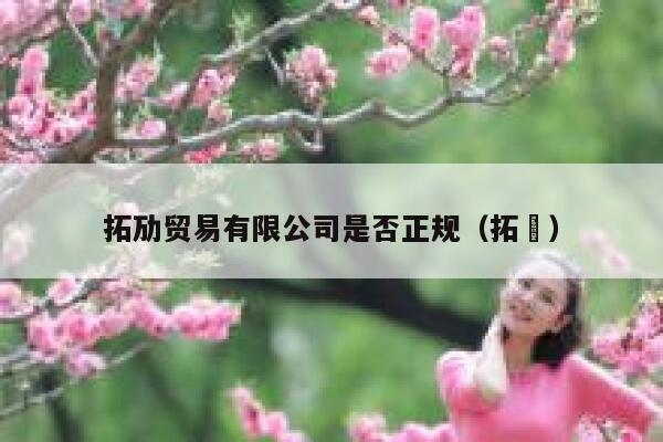 拓劢贸易有限公司是否正规(拓馃) 第1张 拓劢贸易有限公司是否正规(拓馃) 第1张