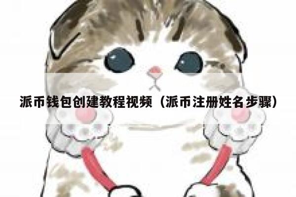 派币钱包创建教程视频（派币注册姓名步骤） 第1张