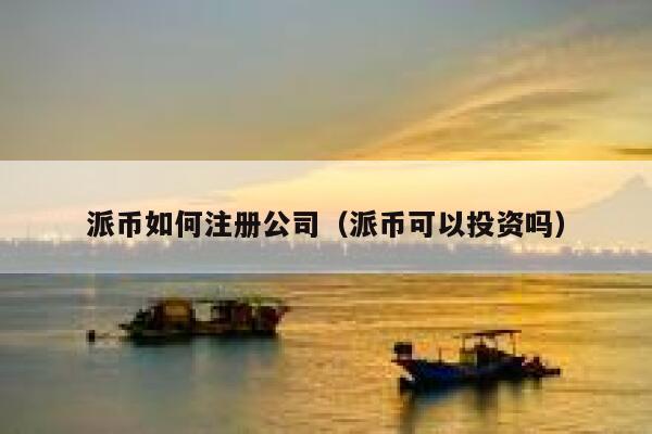 派币如何注册公司（派币可以投资吗） 第1张