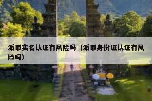 派币实名认证有风险吗（派币身份证认证有风险吗） 第1张