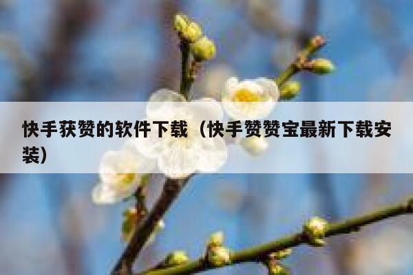 快手获赞的软件下载（快手赞赞宝最新下载安装） 第1张
