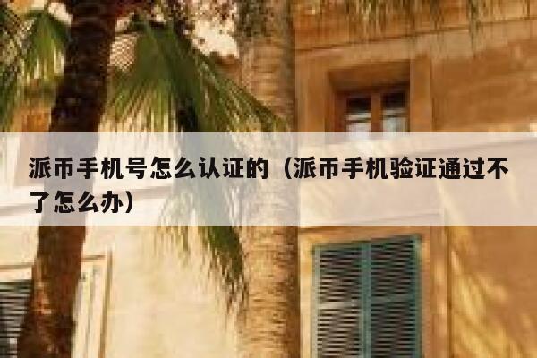 派币手机号怎么认证的（派币手机验证通过不了怎么办） 第1张