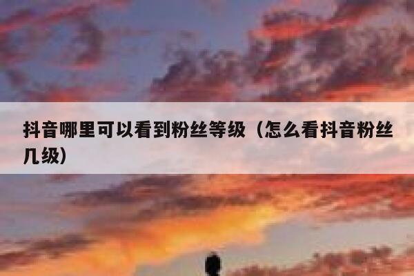 抖音哪里可以看到粉丝等级（怎么看抖音粉丝几级） 第1张