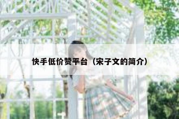 快手低价赞平台（宋子文的简介） 第1张