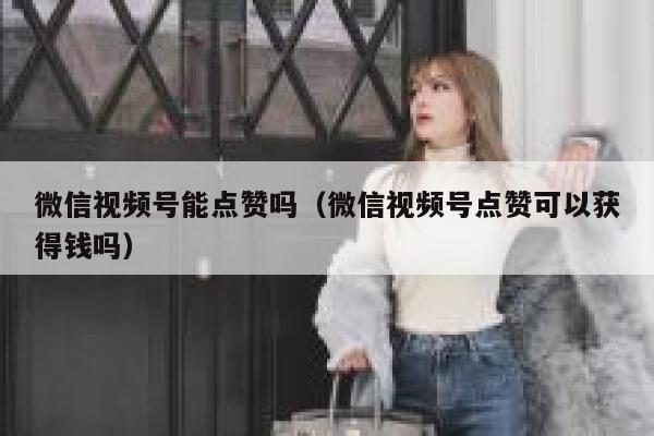 微信视频号能点赞吗（微信视频号点赞可以获得钱吗） 第1张