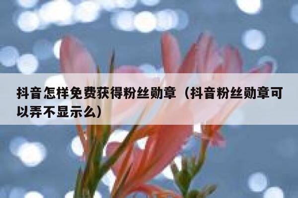 抖音怎样免费获得粉丝勋章（抖音粉丝勋章可以弄不显示么） 第1张