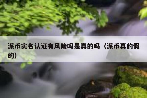 派币实名认证有风险吗是真的吗（派币真的假的） 第1张