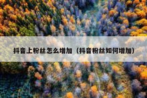 抖音上粉丝怎么增加（抖音粉丝如何增加） 第1张