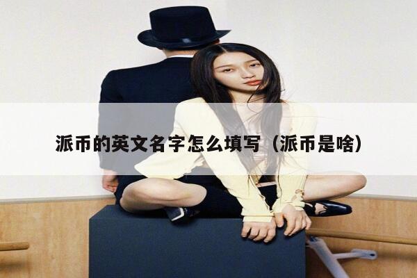 派币的英文名字怎么填写（派币是啥） 第1张