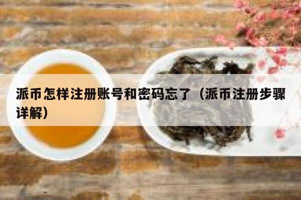 派币怎样注册账号和密码忘了（派币注册步骤详解） 第1张