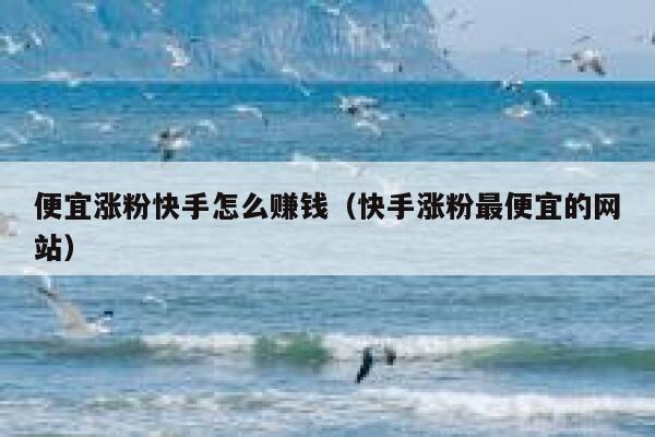 便宜涨粉快手怎么赚钱（快手涨粉最便宜的网站） 第1张