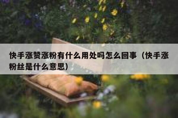 快手涨赞涨粉有什么用处吗怎么回事（快手涨粉丝是什么意思） 第1张