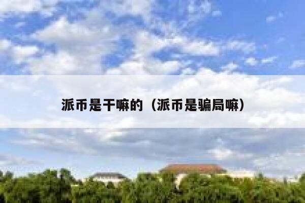 派币是干嘛的(派币是骗局嘛) 第1张 派币是干嘛的(派币是骗局嘛) 第1张