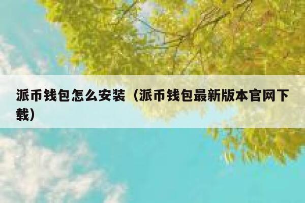 派币钱包怎么安装（派币钱包最新版本官网下载） 第1张