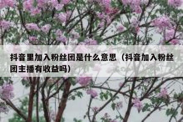 抖音里加入粉丝团是什么意思（抖音加入粉丝团主播有收益吗） 第1张