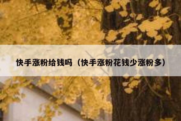 快手涨粉给钱吗（快手涨粉花钱少涨粉多） 第1张