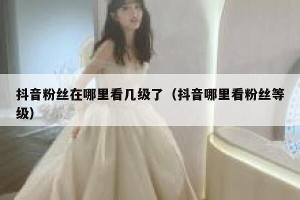 抖音粉丝在哪里看几级了(抖音哪里看粉丝等级) 第1张 抖音粉丝在哪里看几级了(抖音哪里看粉丝等级) 第1张