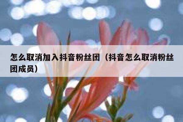 怎么取消加入抖音粉丝团(抖音怎么取消粉丝团成员) 第1张 怎么取消加入抖音粉丝团(抖音怎么取消粉丝团成员) 第1张