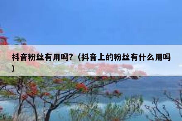 抖音粉丝有用吗?（抖音上的粉丝有什么用吗） 第1张