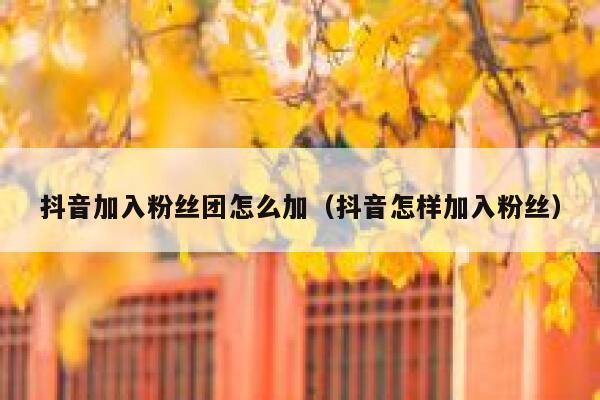 抖音加入粉丝团怎么加（抖音怎样加入粉丝） 第1张