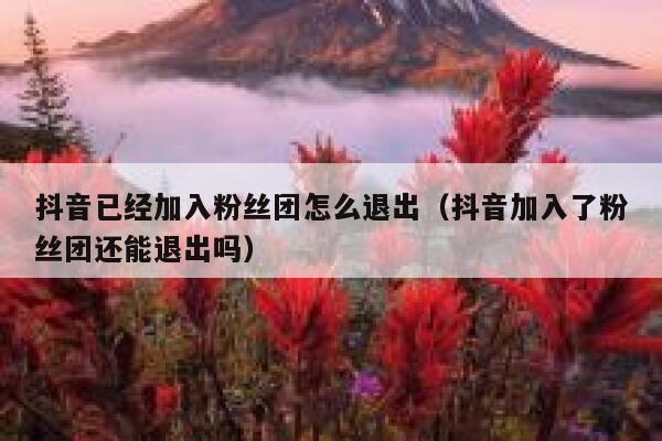 抖音已经加入粉丝团怎么退出（抖音加入了粉丝团还能退出吗） 第1张