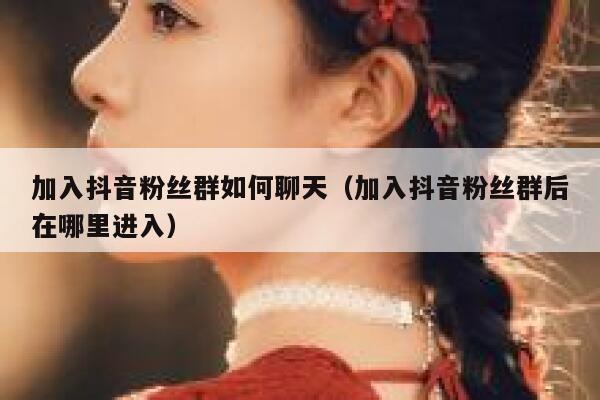 加入抖音粉丝群如何聊天（加入抖音粉丝群后在哪里进入） 第1张