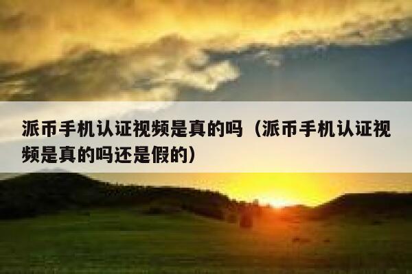 派币手机认证视频是真的吗（派币手机认证视频是真的吗还是假的） 第1张