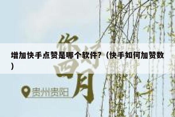 增加快手点赞是哪个软件?（快手如何加赞数） 第1张