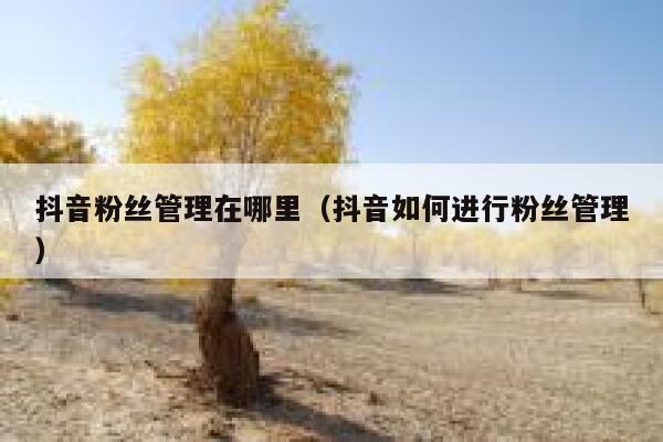 抖音粉丝管理在哪里（抖音如何进行粉丝管理） 第1张