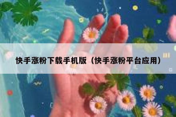 快手涨粉下载手机版(快手涨粉平台应用) 第1张 快手涨粉下载手机版(快手涨粉平台应用) 第1张