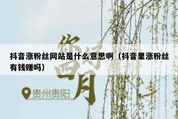 抖音涨粉丝网站是什么意思啊（抖音里涨粉丝有钱赚吗） 第1张