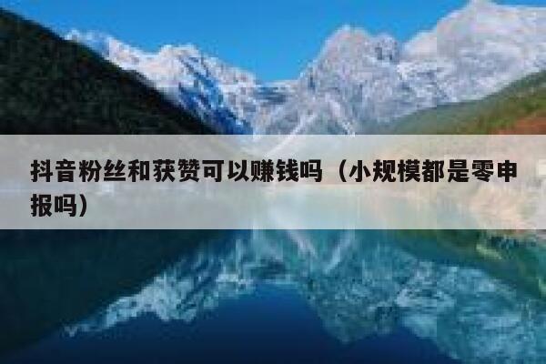 抖音粉丝和获赞可以赚钱吗(小规模都是零申报吗) 第1张 抖音粉丝和获赞可以赚钱吗(小规模都是零申报吗) 第1张