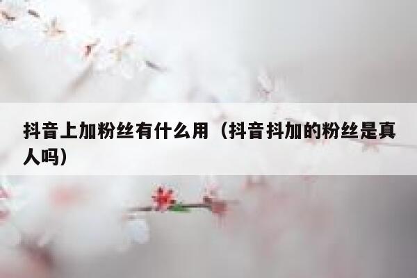 抖音上加粉丝有什么用（抖音抖加的粉丝是真人吗） 第1张