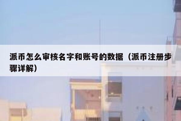 派币怎么审核名字和账号的数据（派币注册步骤详解） 第1张