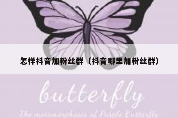 怎样抖音加粉丝群（抖音哪里加粉丝群） 第1张