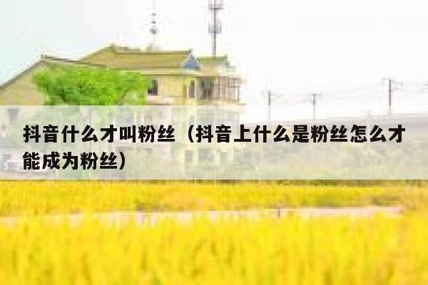 抖音什么才叫粉丝（抖音上什么是粉丝怎么才能成为粉丝） 第1张