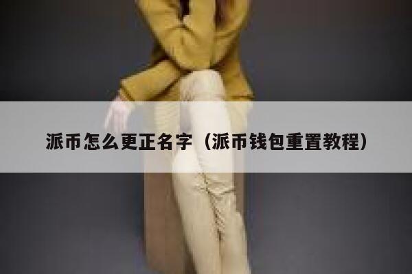 派币怎么更正名字(派币钱包重置教程) 第1张 派币怎么更正名字(派币钱包重置教程) 第1张
