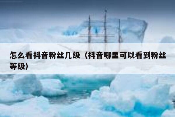 怎么看抖音粉丝几级(抖音哪里可以看到粉丝等级) 第1张 怎么看抖音粉丝几级(抖音哪里可以看到粉丝等级) 第1张