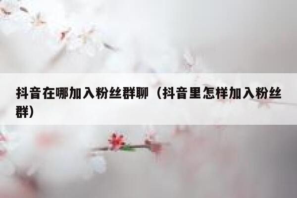 抖音在哪加入粉丝群聊（抖音里怎样加入粉丝群） 第1张